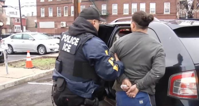 ICE Officer Detains Deportee